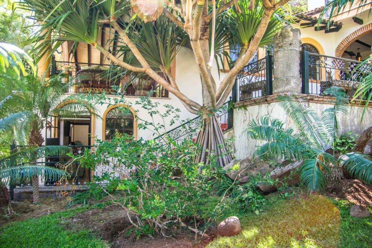 Casa Galeana- Tropical 1-Bd 1-Wc Mountain Top Luxury Suite With Stunning Views Ajijic Dış mekan fotoğraf